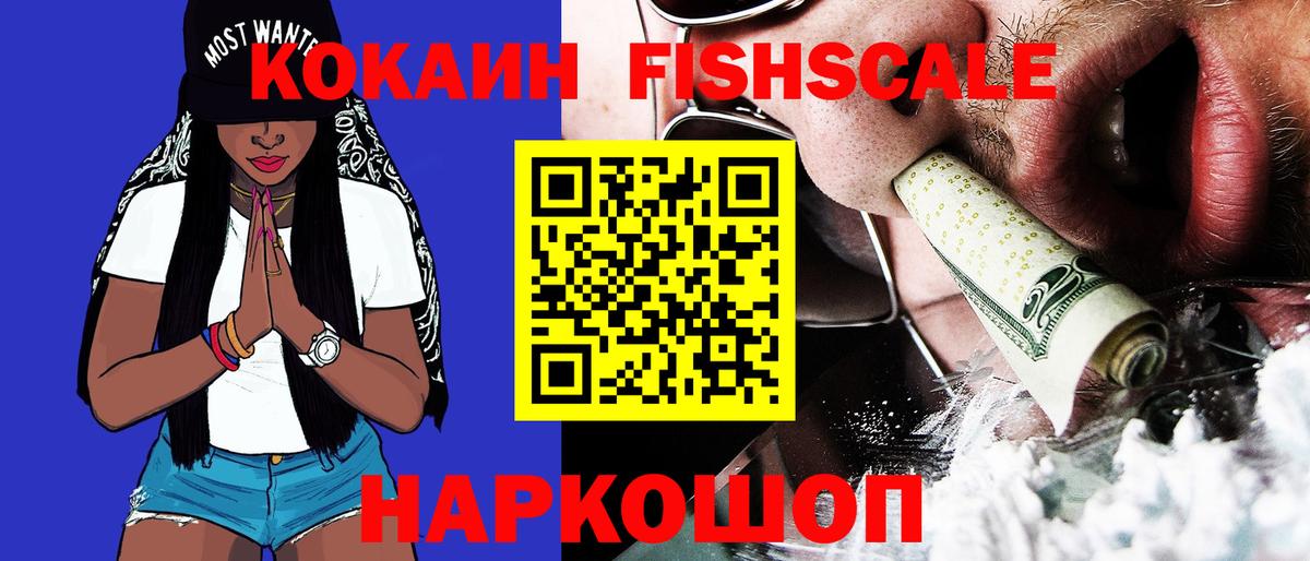 где купить наркоту  Вход с VPN  Камышлов  Cocaine 97% 