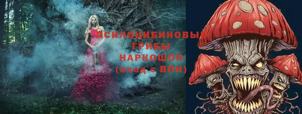 прущая мука Бородино