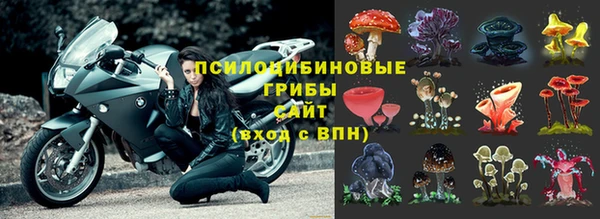 гидра Мегион
