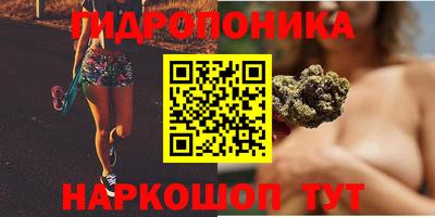 индика Азнакаево