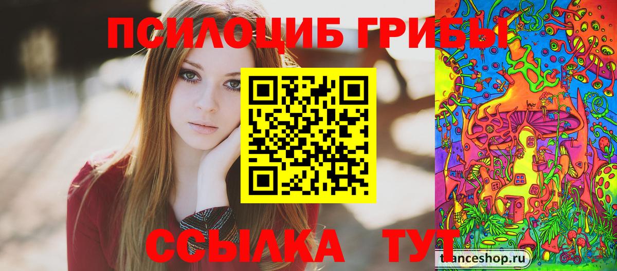 Галлюциногенные грибы Psilocybine cubensis  Камышлов 