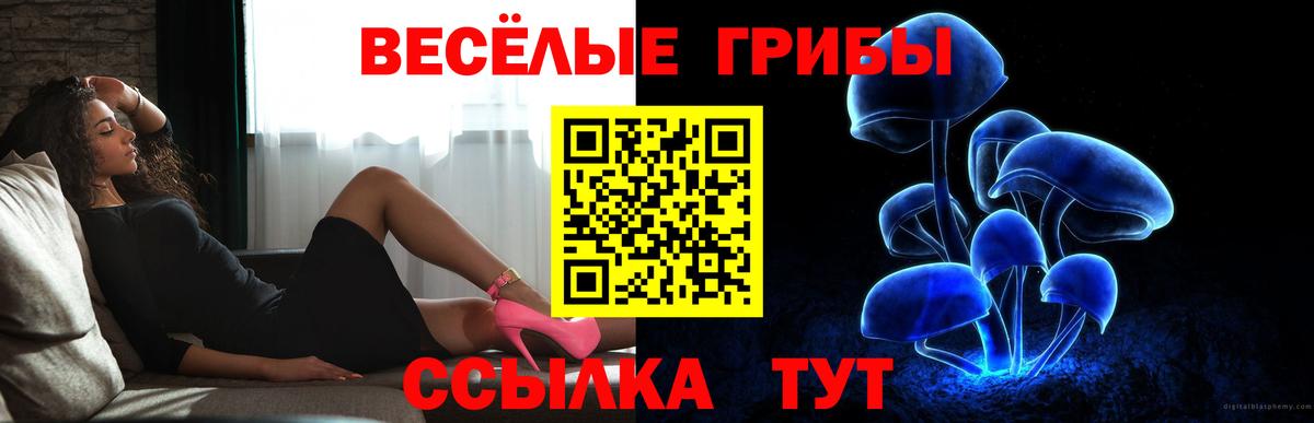 Камышлов  Галлюциногенные грибы Cubensis  Галлюциногенные грибы ЛСД  Вход с VPN 