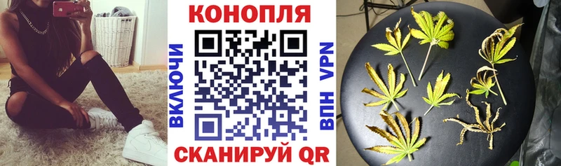 Каннабис Amnesia  Камышлов 