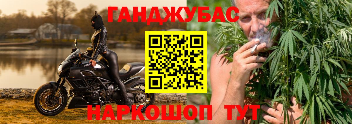 Камышлов  Шишки марихуана план  Вход с VPN  Бошки марихуана White Widow  Бошки Шишки тримм 